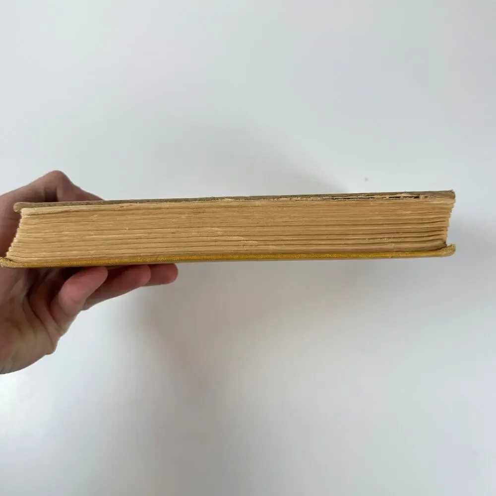 Little Robinson by Charles Donald Fox 1925 Antique book